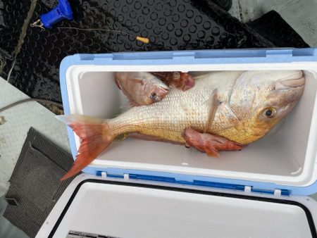 リトルワン 釣果