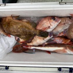 リトルワン 釣果