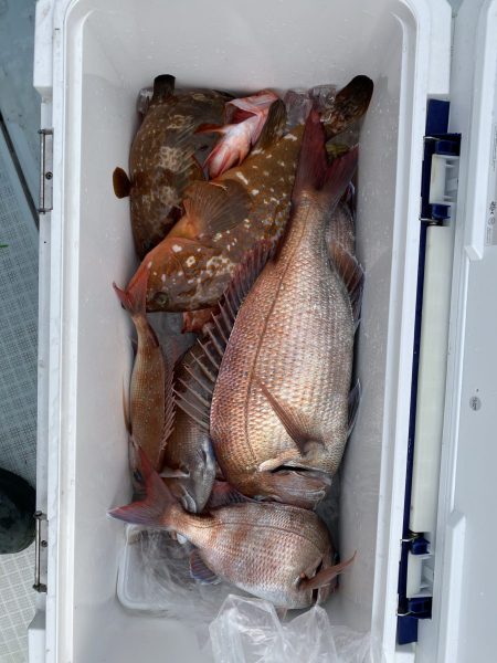 リトルワン 釣果