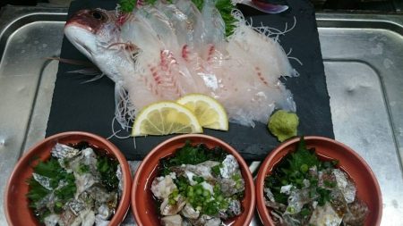 リトルワン 釣果