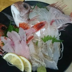 リトルワン 釣果