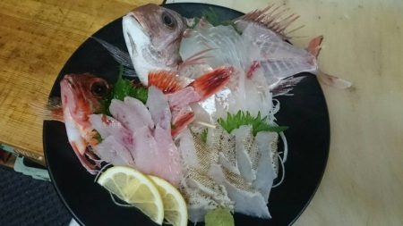 リトルワン 釣果