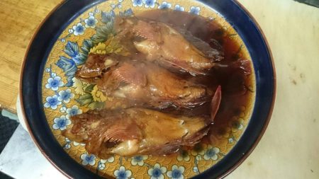 リトルワン 釣果