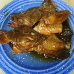 リトルワン 釣果