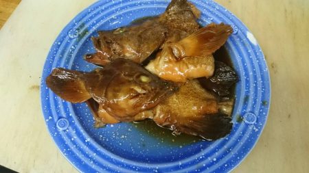 リトルワン 釣果