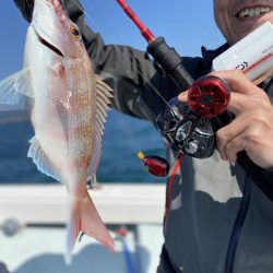 リトルワン 釣果