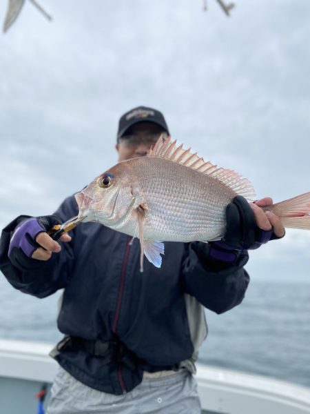 リトルワン 釣果