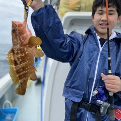 リトルワン 釣果