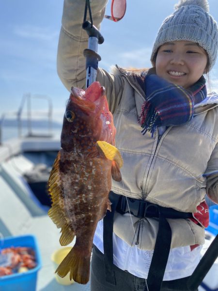 リトルワン 釣果