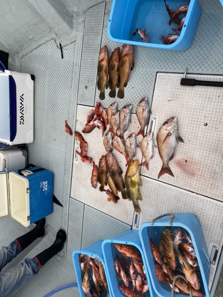 リトルワン 釣果