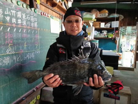 ふじや釣舟店 釣果