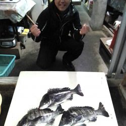 ふじや釣舟店 釣果