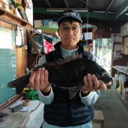 ふじや釣舟店 釣果
