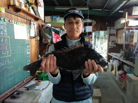 ふじや釣舟店 釣果