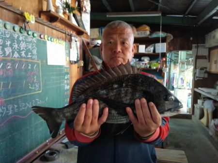 ふじや釣舟店 釣果