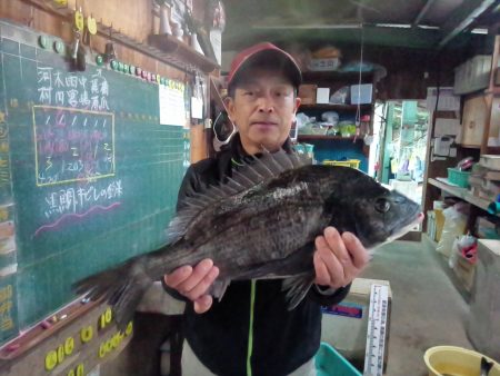 ふじや釣舟店 釣果