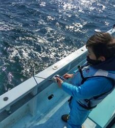 東京湾探釣隊ぼっち 釣果