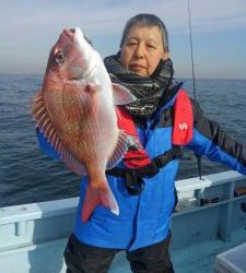 東京湾探釣隊ぼっち 釣果