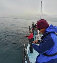 東京湾探釣隊ぼっち 釣果