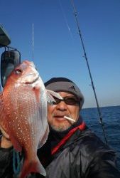東京湾探釣隊ぼっち 釣果