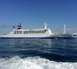 東京湾探釣隊ぼっち 釣果