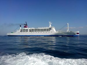 東京湾探釣隊ぼっち 釣果