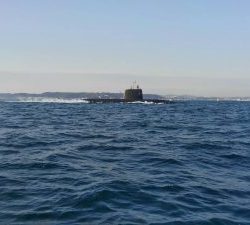 東京湾探釣隊ぼっち 釣果