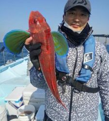 東京湾探釣隊ぼっち 釣果