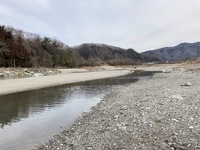 秩父フライフィールド 釣果