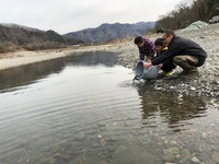 秩父フライフィールド 釣果