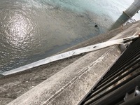 秩父フライフィールド 釣果