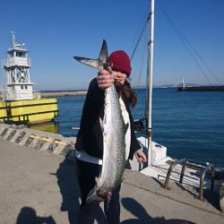 第二明康丸 釣果