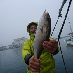 第二明康丸 釣果