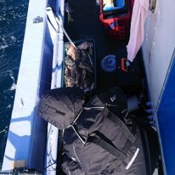 小樽港遊漁船SHAKE 釣果