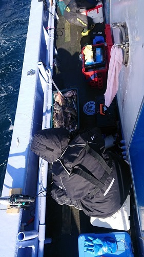 小樽港遊漁船SHAKE 釣果