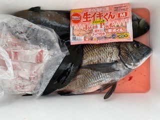 千津丸 釣果