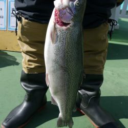 としまえんフィッシングエリア 釣果