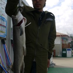 としまえんフィッシングエリア 釣果