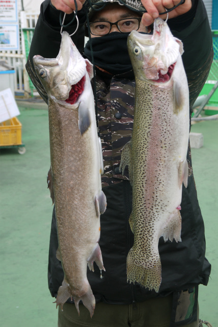 としまえんフィッシングエリア 釣果