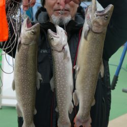 としまえんフィッシングエリア 釣果