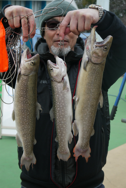 としまえんフィッシングエリア 釣果