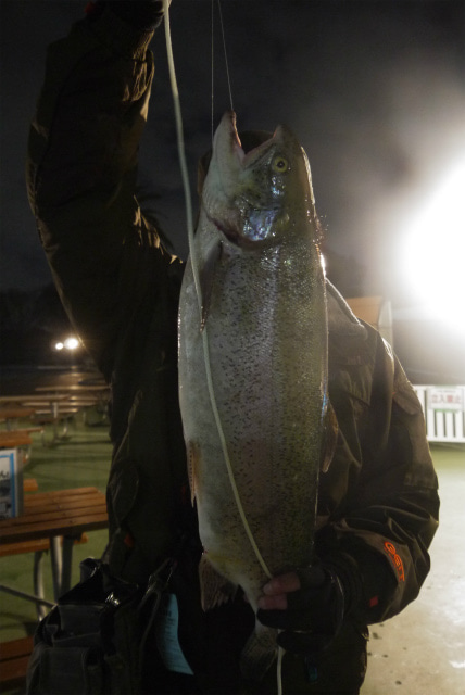 としまえんフィッシングエリア 釣果