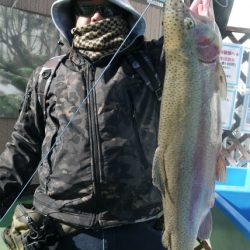 としまえんフィッシングエリア 釣果