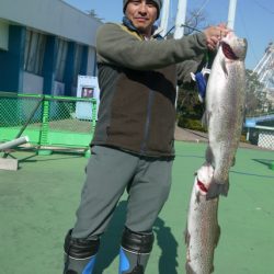 としまえんフィッシングエリア 釣果