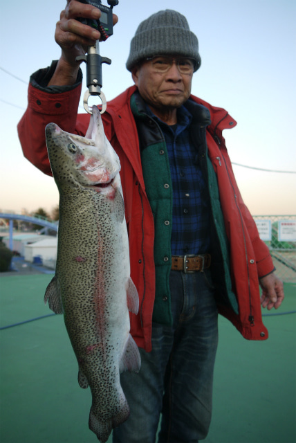 としまえんフィッシングエリア 釣果