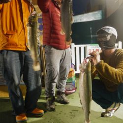 としまえんフィッシングエリア 釣果