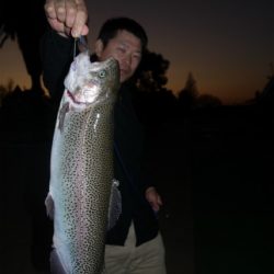 としまえんフィッシングエリア 釣果