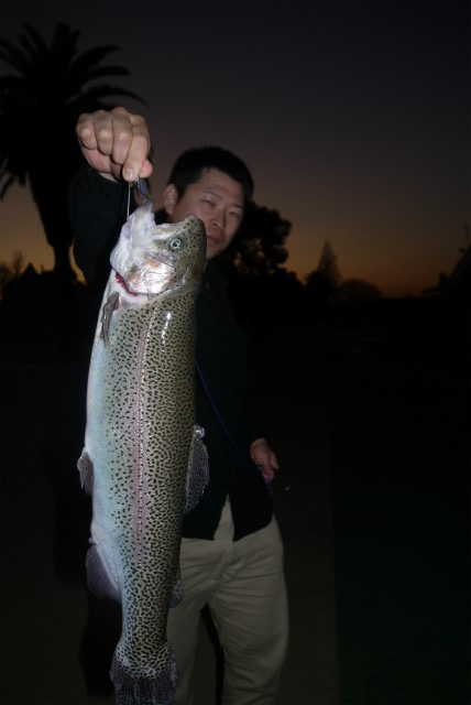 としまえんフィッシングエリア 釣果