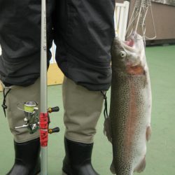 としまえんフィッシングエリア 釣果