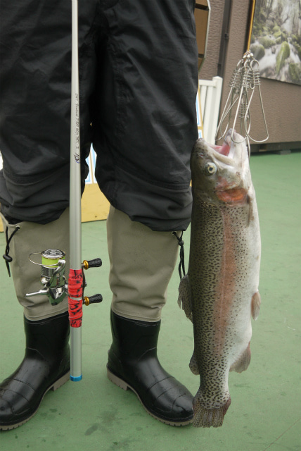 としまえんフィッシングエリア 釣果